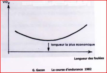 economie de course